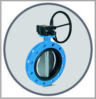 Butterfly valves