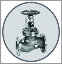 Forged Globe Valve
