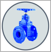 gate valve