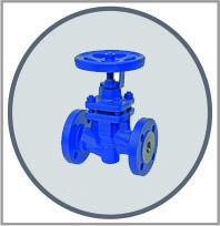 Globe Valves