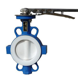 Lined Butterfly Valve