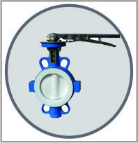Lined Butterfly Valve