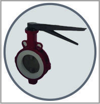 PTFE Sleeved Butterfly Valve